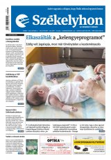 XXIX. évfolyam, 208. szám
