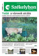 IX. évfolyam, 208. szám