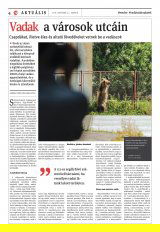 Csíki Hírlap XIII. évfolyam, 208. szám