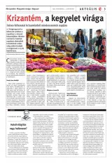 Vásárhelyi Hírlap XII. évfolyam, 209. szám