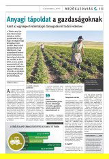 Csíki Hírlap XIII. évfolyam, 211. szám