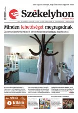 IX. évfolyam, 216. szám