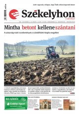 XIII. évfolyam, 217. szám
