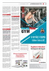 Vásárhelyi Hírlap XII. évfolyam, 221. szám