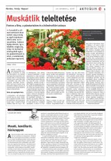 Vásárhelyi Hírlap XII. évfolyam, 221. szám