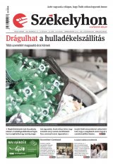 IX. évfolyam, 225. szám