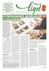 Udvarhelyi Híradó XXIX. évfolyam, 225. szám