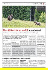 Vásárhelyi Hírlap XII. évfolyam, 227. szám