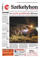 XXIX. évfolyam, 228. szám