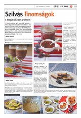 Vásárhelyi Hírlap XII. évfolyam, 228. szám