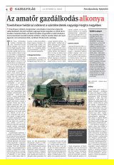 Vásárhelyi Hírlap XII. évfolyam, 228. szám
