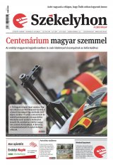 XIII. évfolyam, 229. szám