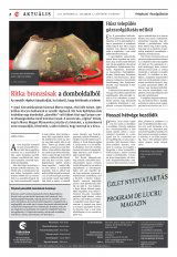 Vásárhelyi Hírlap XII. évfolyam, 229. szám