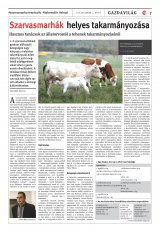 Vásárhelyi Hírlap XII. évfolyam, 230. szám