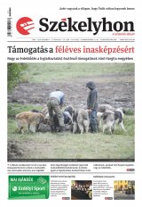 IX. évfolyam, 231. szám