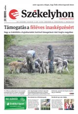 XXIX. évfolyam, 231. szám