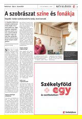 Vásárhelyi Hírlap XII. évfolyam, 231. szám