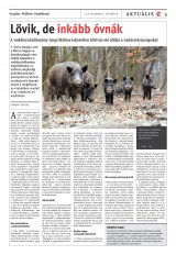 Vásárhelyi Hírlap XII. évfolyam, 233. szám