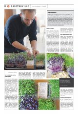 Vásárhelyi Hírlap XII. évfolyam, 237. szám