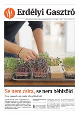 Vásárhelyi Hírlap XII. évfolyam, 237. szám