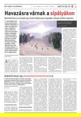 Vásárhelyi Hírlap XII. évfolyam, 239. szám
