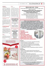 Vásárhelyi Hírlap XII. évfolyam, 241. szám