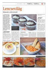 Vásárhelyi Hírlap XII. évfolyam, 242. szám