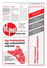 Vásárhelyi Hírlap XII. évfolyam, 243. szám