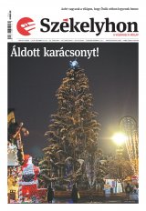 XII. évfolyam, 244. szám