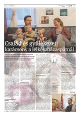 Vásárhelyi Hírlap XII. évfolyam, 244. szám