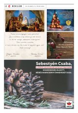 Vásárhelyi Hírlap XII. évfolyam, 244. szám