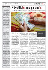 Udvarhelyi Híradó XXIX. évfolyam, 245. szám