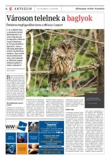 Vásárhelyi Hírlap XII. évfolyam, 245. szám