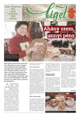 Vásárhelyi Hírlap XII. évfolyam, 246. szám