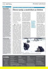 Krónika XXI. évfolyam, 2. szám