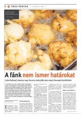 Székelyhon napilap I. évfolyam, 10. szám