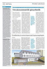 Krónika XXI. évfolyam, 16. szám