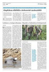 Krónika XXI. évfolyam, 18. szám