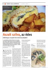 Székelyhon napilap I. évfolyam, 19. szám
