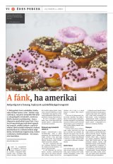 Székelyhon napilap I. évfolyam, 29. szám