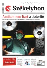 I. évfolyam, 35. szám