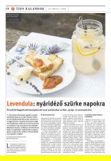 Székelyhon napilap I. évfolyam, 39. szám