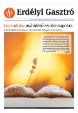 Székelyhon napilap I. évfolyam, 39. szám