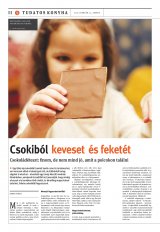 Székelyhon napilap I. évfolyam, 39. szám