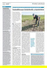 Krónika XXI. évfolyam, 50. szám