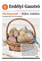Székelyhon napilap I. évfolyam, 54. szám