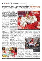 Székelyhon napilap I. évfolyam, 59. szám