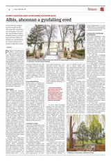 Krónika XXI. évfolyam, 60. szám