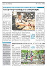 Krónika XXI. évfolyam, 61. szám