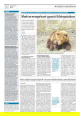 Krónika XXI. évfolyam, 62. szám